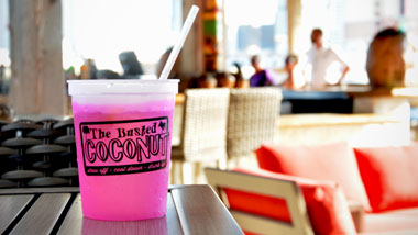pink drink in a Busted Coconut cup