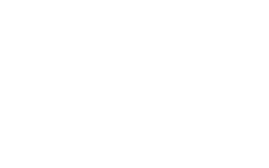 The Busted Coconut logo