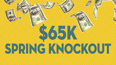 65KSpringKnockout_380x214