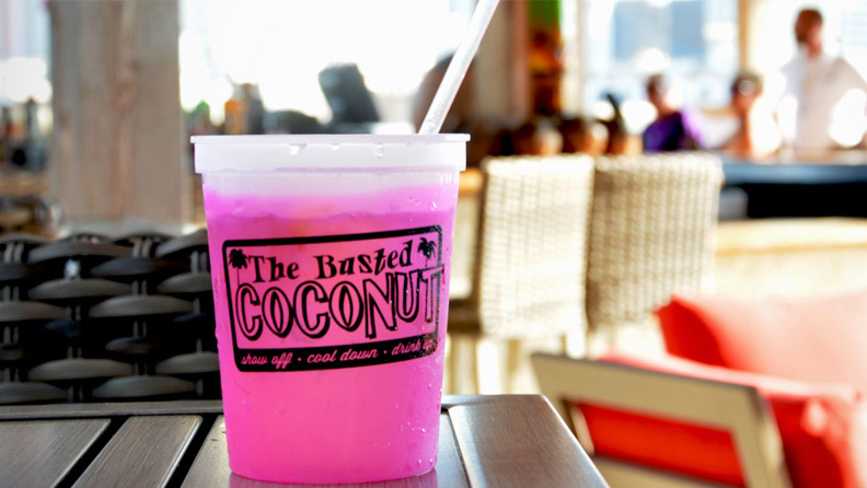 Pink Drink in plastic The Busted Coconut cup